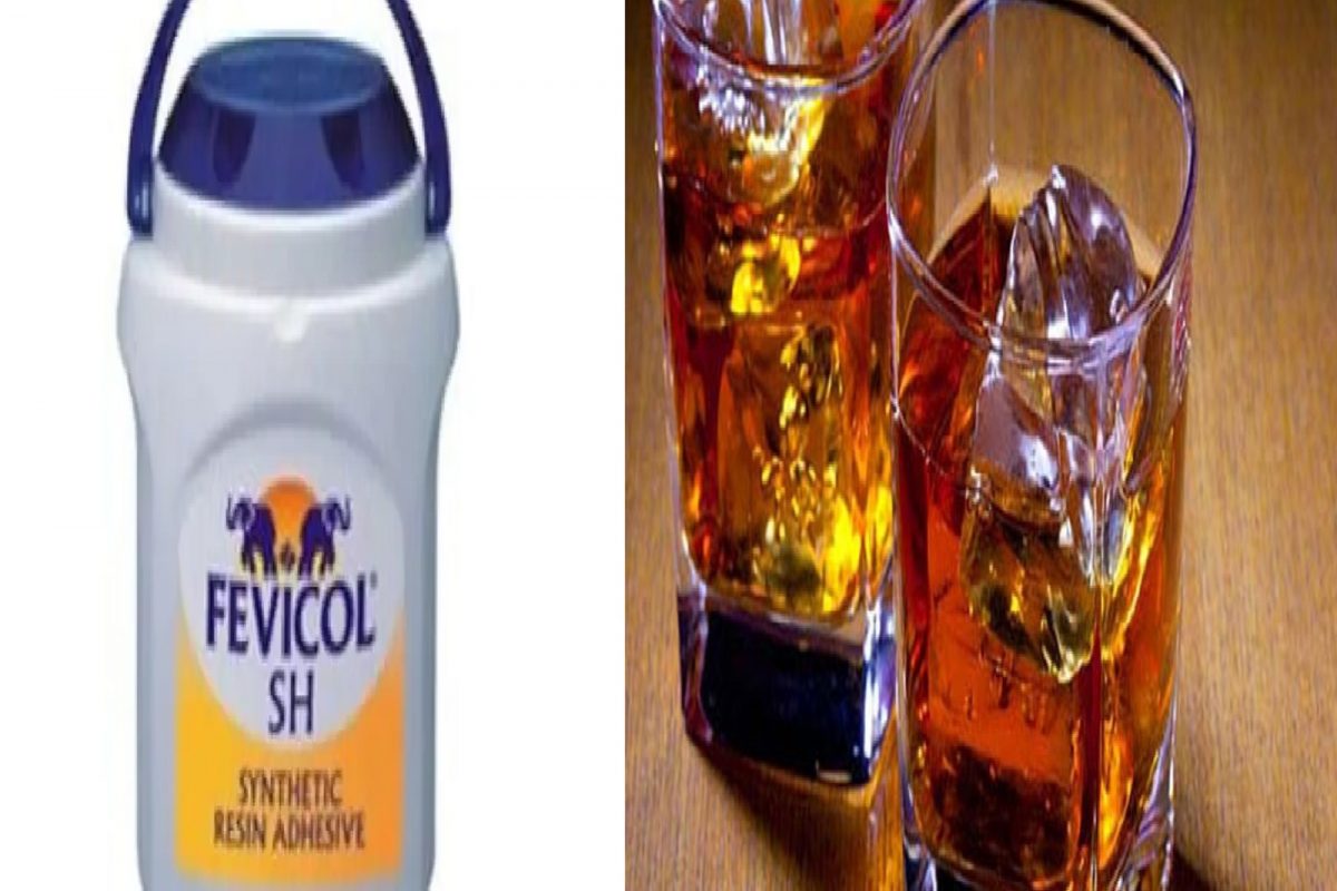 Fevicol की Alcohol, बाँडिंगसाठी काय उत्तम? Harsh Goenka यांना पडला प्रश्न; तुम्हाला काय वाटतं?