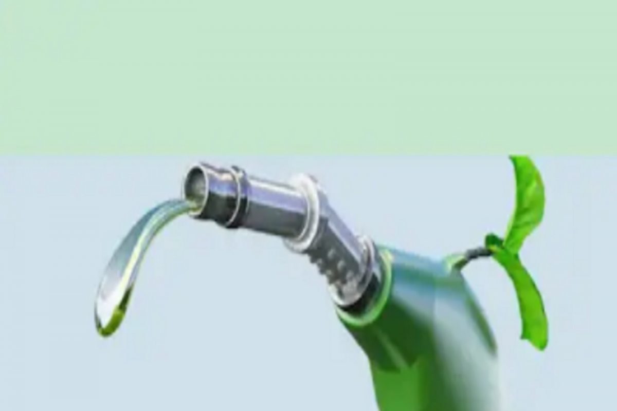 Petrol Diesel Prices Today: म्हणून मेट्रो शहरांत पेट्रोल-डिझेल दर स्थिर आहेत? तपासा आजचा दर