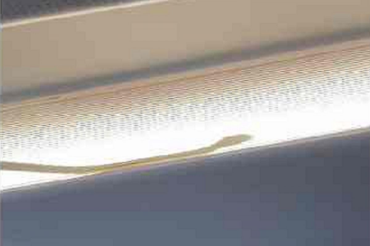 Snake in Plane : बापरे! AirAsia च्या फ्लाइटमध्ये साप घुसल्याने उडाली खळबळ; VIDEO VIRAL