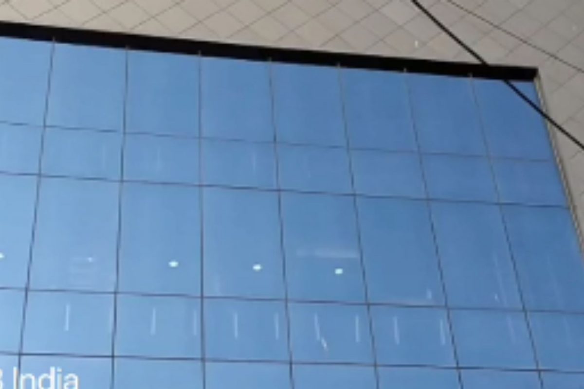 Video : दुर्दैवी! आभाळ समजून इमारतीच्या काचेला पक्ष्यांच्या थव्याची धडक, 34 मृत्यू