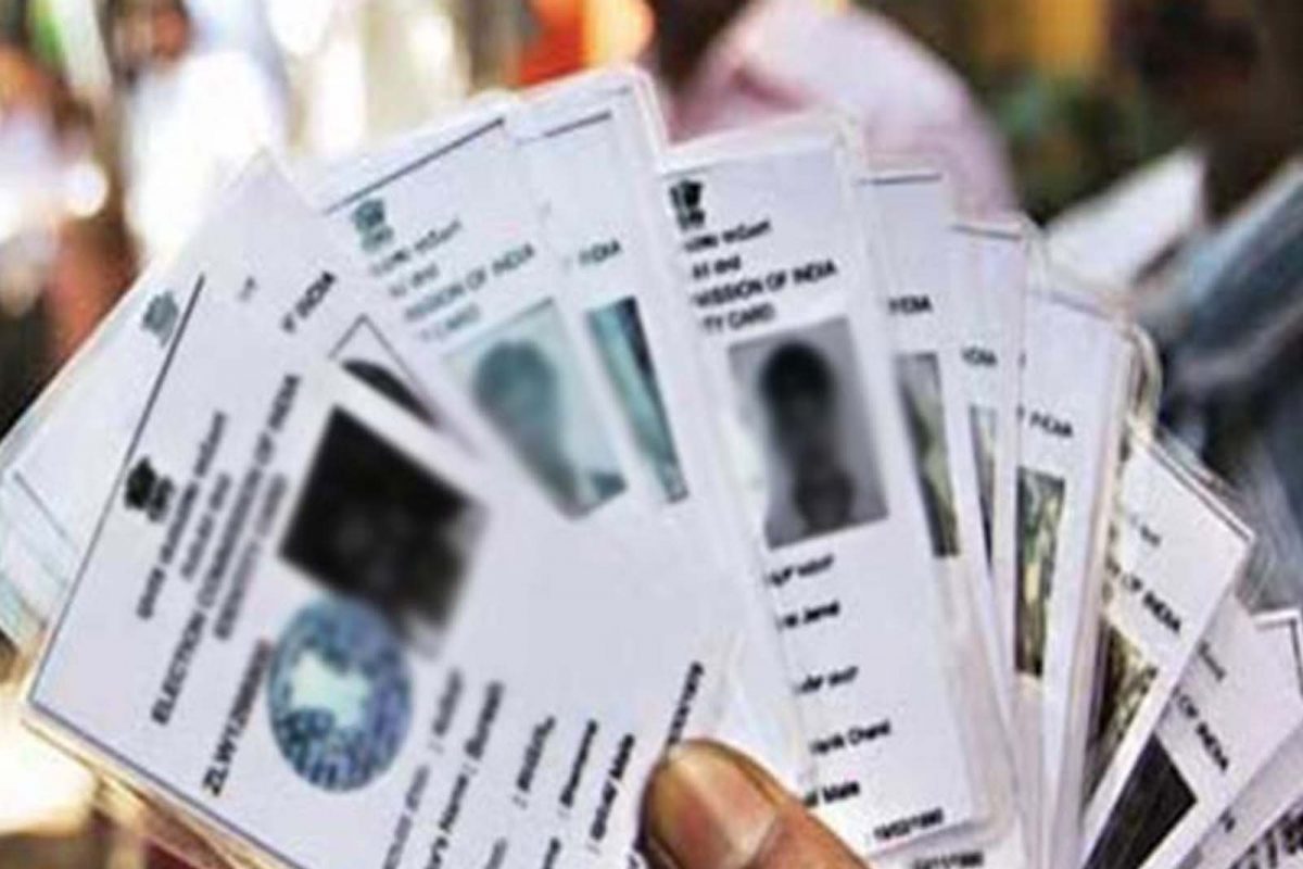 व्होटर कार्ड ऑनलाइन कसं डाउनलोड करायचं? जाणून घ्या