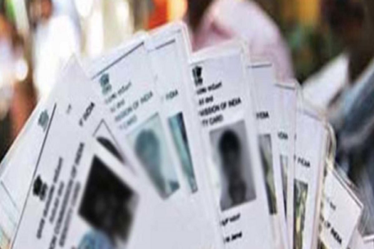 Voter List मध्ये तुमचं नाव आहे कि नाही? घरबसल्या असं तपासा, पाहा प्रोसेस