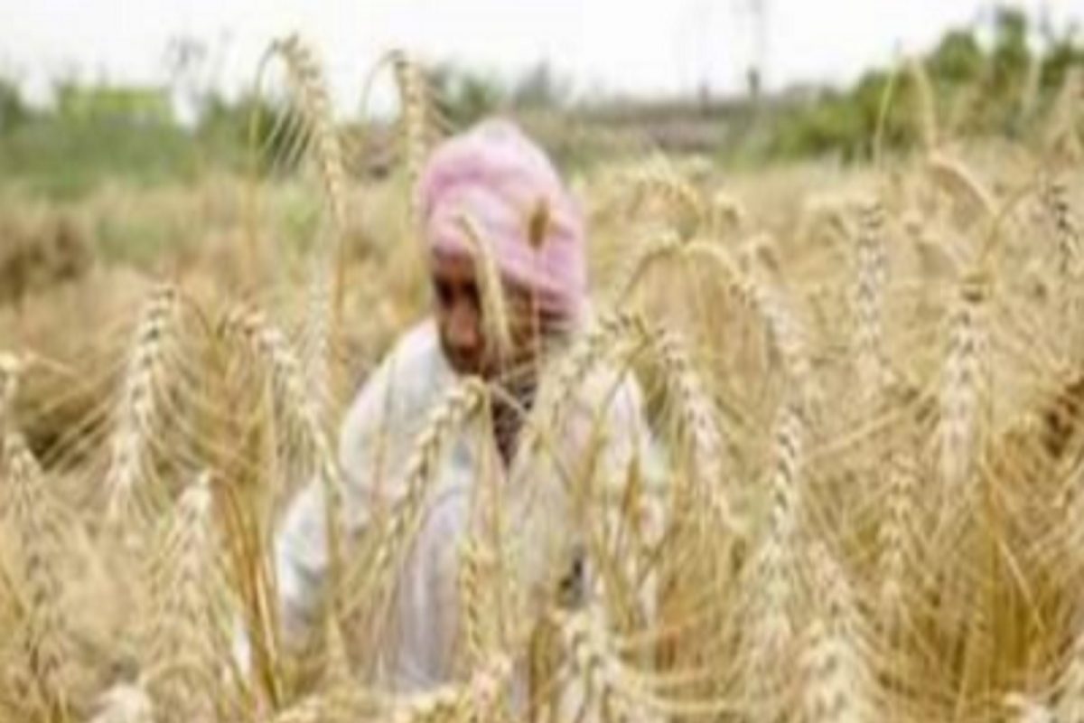 Russia Ukraine Crisis: क्रूड ऑइलसह सोने, सोयाबीन, गहू आणि मक्याच्या किमतीतही तुफान वाढ