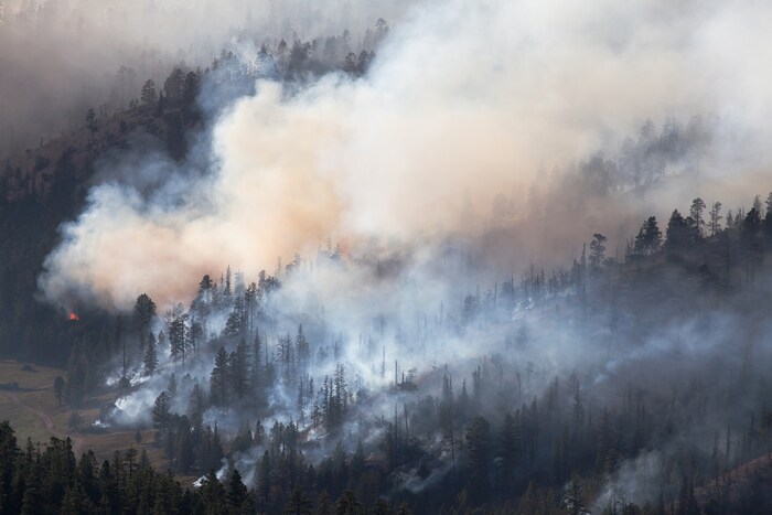 बर्नेथ म्हणाले की धुराचे (Smoke of Wildfire) हे पहिलेच मोठे मोजमाप आहे ज्याने हे दर्शविले आहे की ते ओझोन-नियमन करणाऱ्या संयुगांना अधिक प्रतिक्रियाशील संयुगे बनवत आहे, ज्यामुळे ओझोन (Ozone) नष्ट होतो. (प्रतिकात्मक फोटो: शटरस्टॉक)
