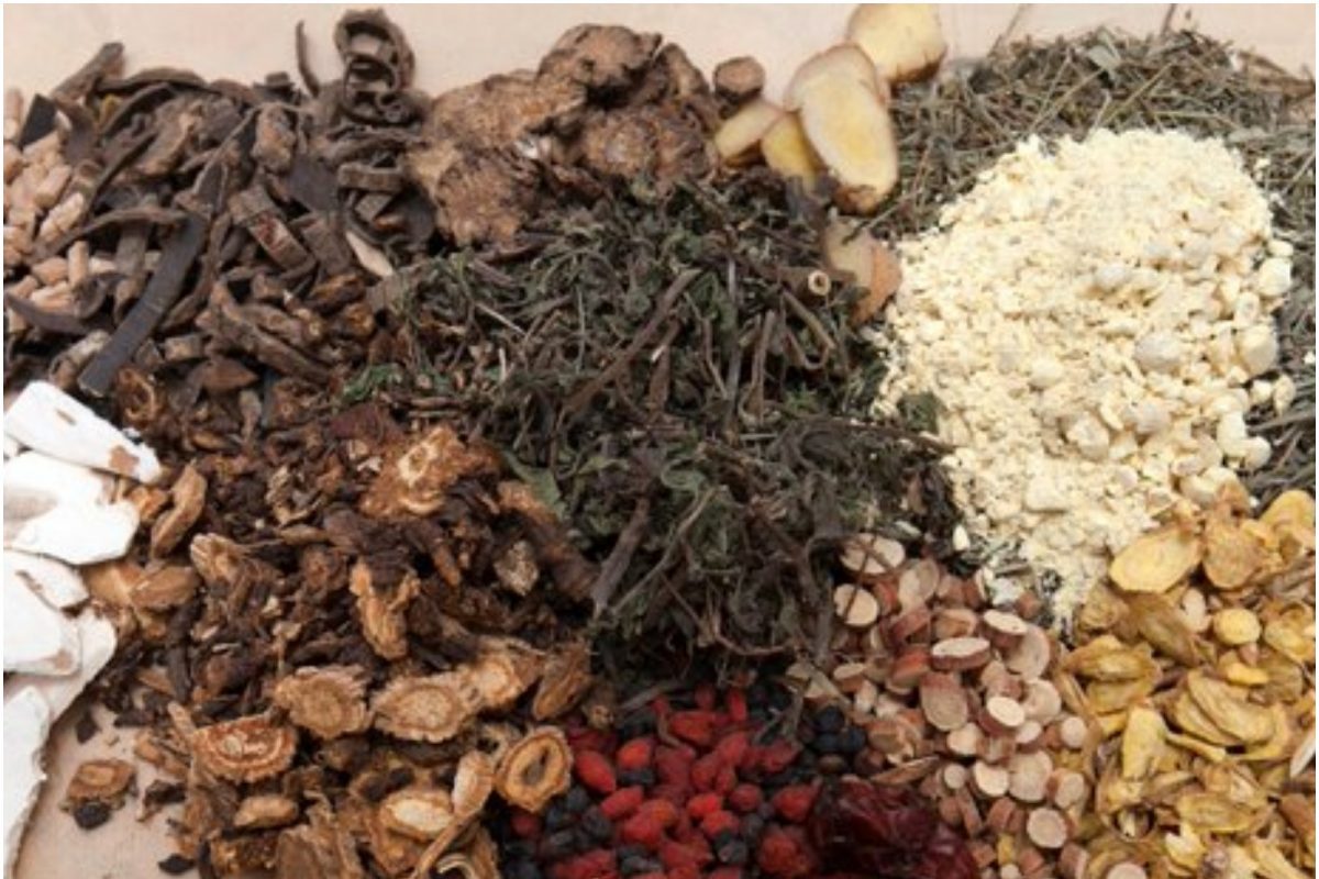 भारतीय पारंपरिक औषधांचा जगात डंका; WHO च्या सहकार्याने उभारलं जाणार Global center