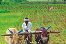 पीएम किसान सन्मान निधीचा 11 वा हप्ता लवकरच येणार? eKYC अनिवार्य आहे का? पीएम किसान सन्मान निधीचा 11 वा हप्ता लवकरच येणार? eKYC अनिवार्य आहे का?
