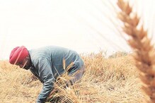 प्रतीक्षा संपली! 'या' दिवशी शेतकऱ्यांच्या खात्यात 2000 रुपये जमा होणार प्रतीक्षा संपली! 'या' दिवशी शेतकऱ्यांच्या खात्यात 2000 रुपये जमा होणार