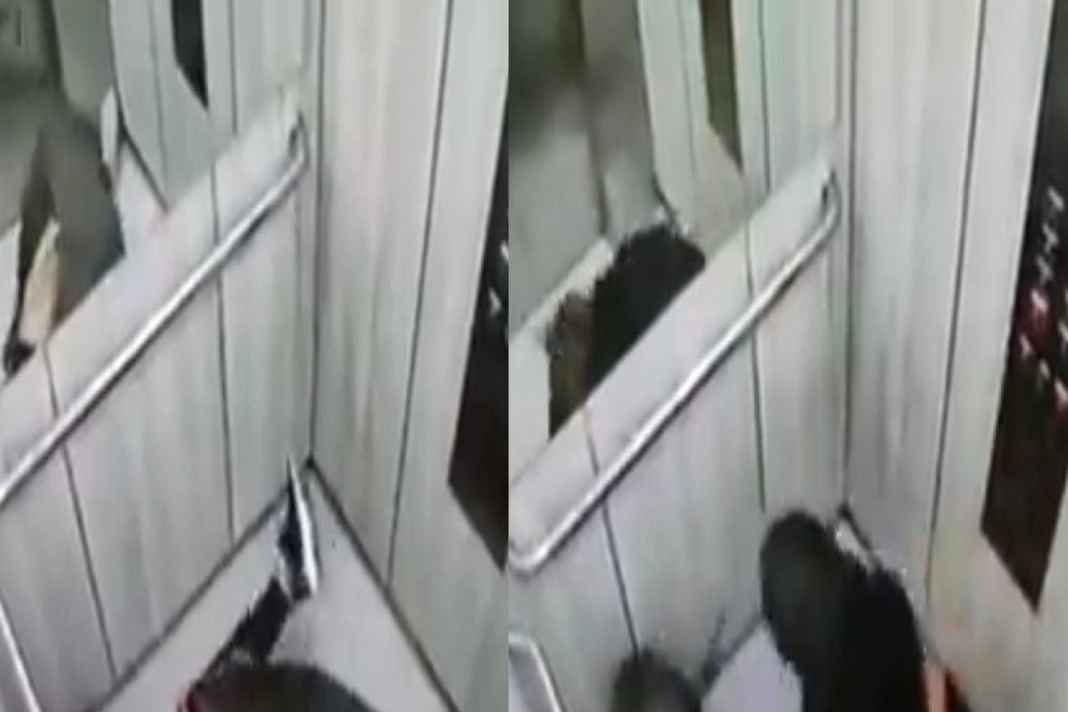 धक्कादायक! लिफ्टमध्ये मालकिणीसोबत...; पाळीव श्वानाचं भयंकर कृत्य CCTV मध्ये कैद