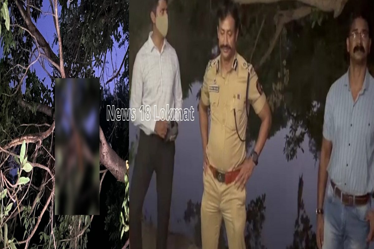 पुणे: 20 फुट उंच झाडावर कुजलेल्या अवस्थेत आढळला महिलेचा मृतदेह, अंधश्रद्धेतून बळी?