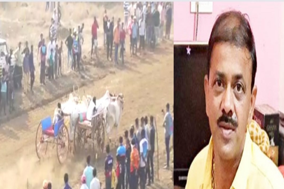 बैलगाडा शर्यतीत मोठी दुर्घटना, शर्यत जिंकली पण मालकाला मृत्यूने हरवलं