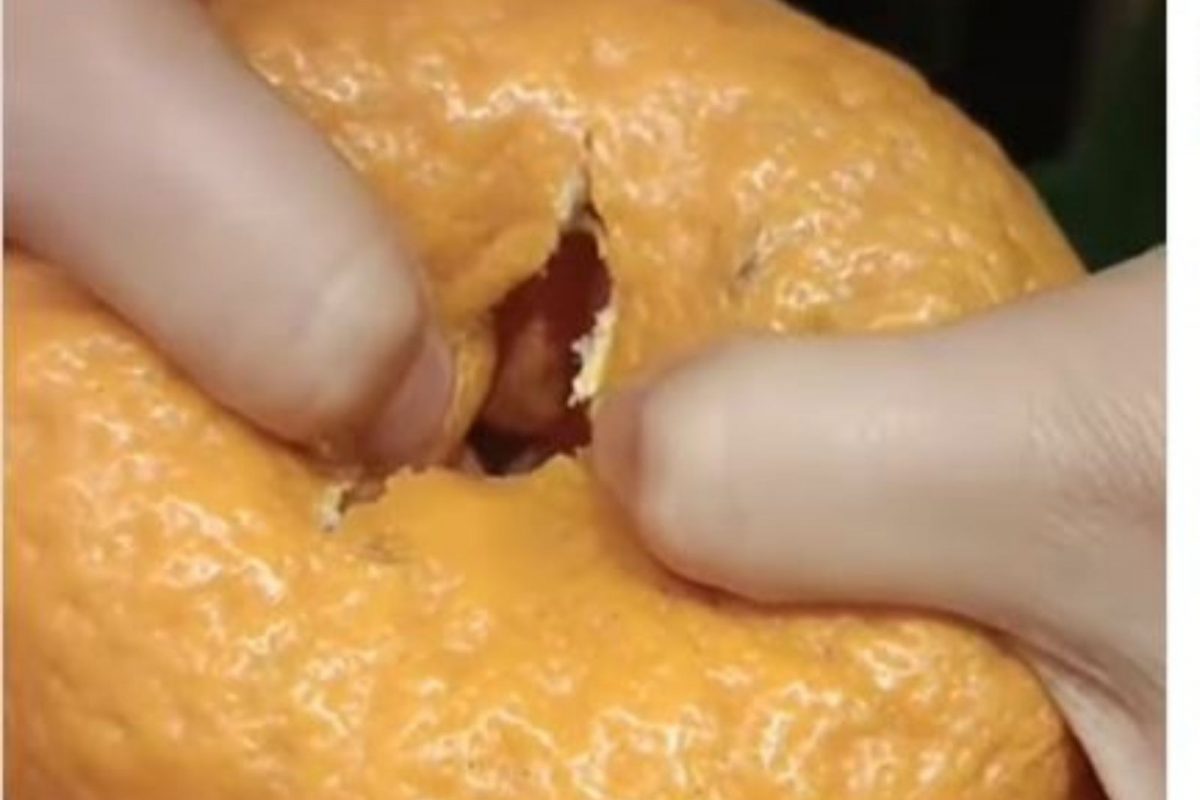 VIDEO: संत्री सोलताच आतमध्ये दिसलं अतिशय अजब दृश्य; पाहून नेटकरीही शॉक