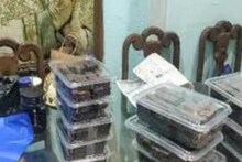 मुंबई : केकमध्ये ड्रग्ज मिसळून विक्री; 24 वर्षीय मानसशास्त्रज्ञाचा जामीन नाकारला