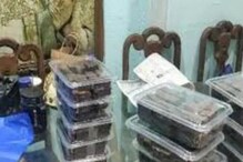 मुंबई : केकमध्ये ड्रग्ज मिसळून विक्री; 24 वर्षीय मानसशास्त्रज्ञाचा जामीन नाकारला