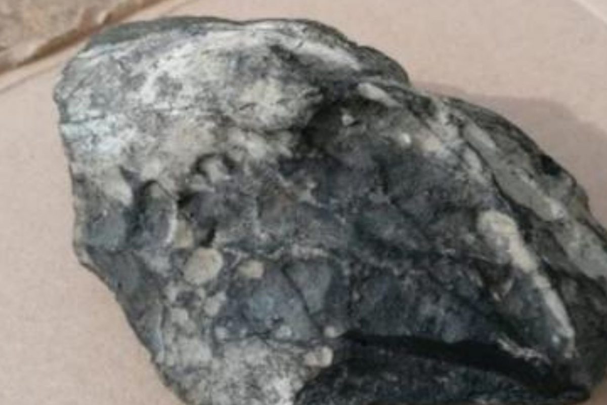 आकाशातून कोसळताना दिसला चमकणारा दगड; 18 महिने दिवसरात्र शोधत राहिला व्यक्ती, सत्य समजताच बसला आश्चर्याचा धक्का