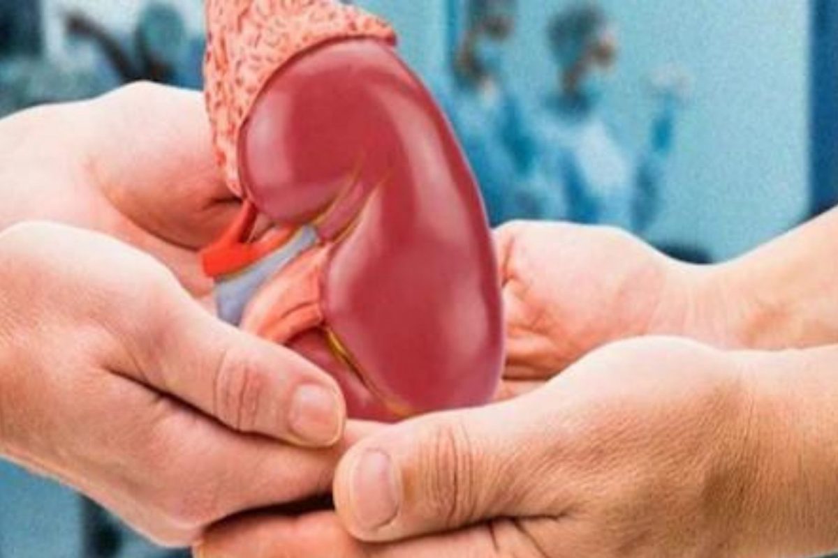 अभिमानास्पद! 'आमचा धर्म वेगळा पण रक्तगट एकच'; मुस्लीम व्यक्तीने हिंदू मित्रासाठी दान केली किडनी