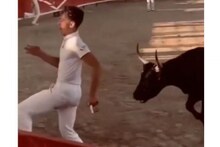 चवताळलेल्या बैल वेगात मागे धावू लागला अन्...; काळजाचा ठोका चुकवणारा VIDEO