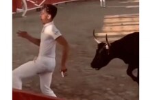 चवताळलेल्या बैल वेगात मागे धावू लागला अन्...; काळजाचा ठोका चुकवणारा VIDEO चवताळलेल्या बैल वेगात मागे धावू लागला अन्...; काळजाचा ठोका चुकवणारा VIDEO