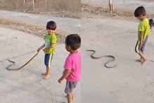 OMG! चिमुकल्याचा जीवघेणा खेळ; सापाच्या शेपटीला धरलं अन्..., Shocking Video OMG! चिमुकल्याचा जीवघेणा खेळ; सापाच्या शेपटीला धरलं अन्..., Shocking Video
