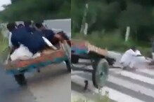 म्हशीला काठीने मारत होते 5 लोक; काहीच वेळात मिळालं कर्माचं फळ, VIDEO एकदा बघाच म्हशीला काठीने मारत होते 5 लोक; काहीच वेळात मिळालं कर्माचं फळ, VIDEO एकदा बघाच