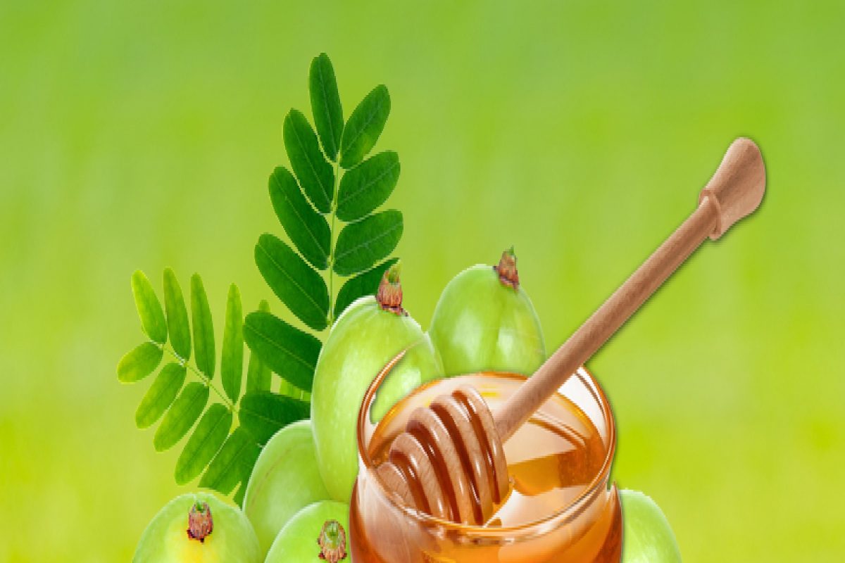 Health Tips: मध आणि आवळा एकत्र खाण्याचे फायदे माहित आहेत का?, जाणून घ्या