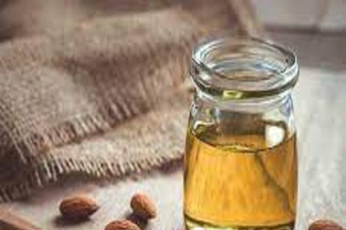 Almond Oil Benefits: दोन थेंब बदाम तेल चेहऱ्यावर आणेल जबरदस्त ग्लो; फक्त असा करा वापर