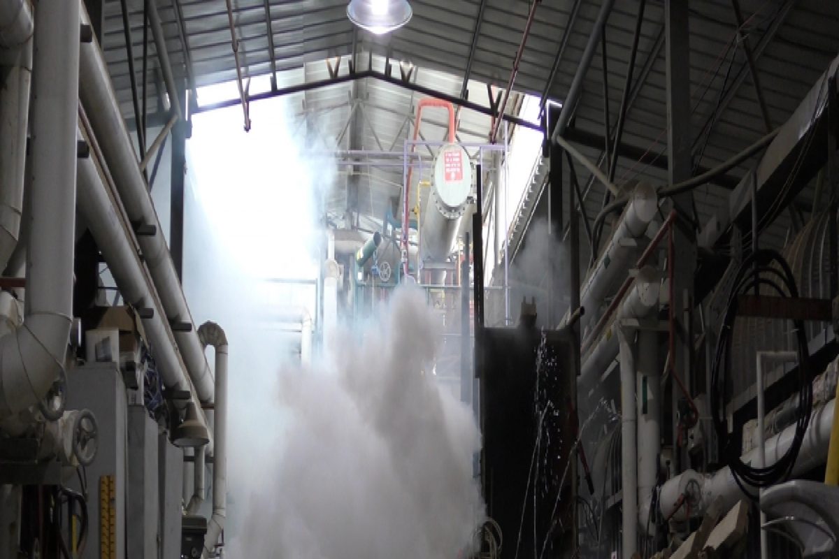 माणसासाठी किती घातक असतो अमोनिया वायू? जाणून घ्या या प्रश्नाच अचूक उत्तर