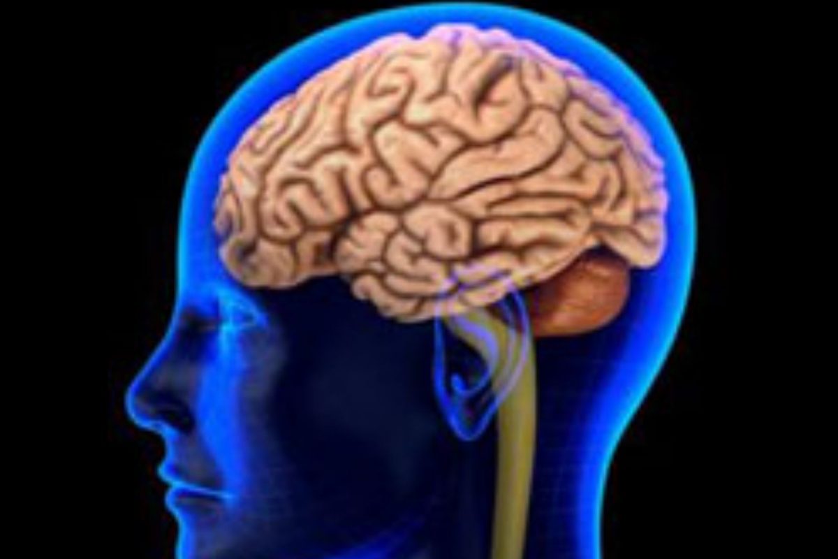 मानवी मेंदूवर मोठं संशोधन! भविष्यातील अनेक संक्रमण आणि धोक्यांचं निदान होणार