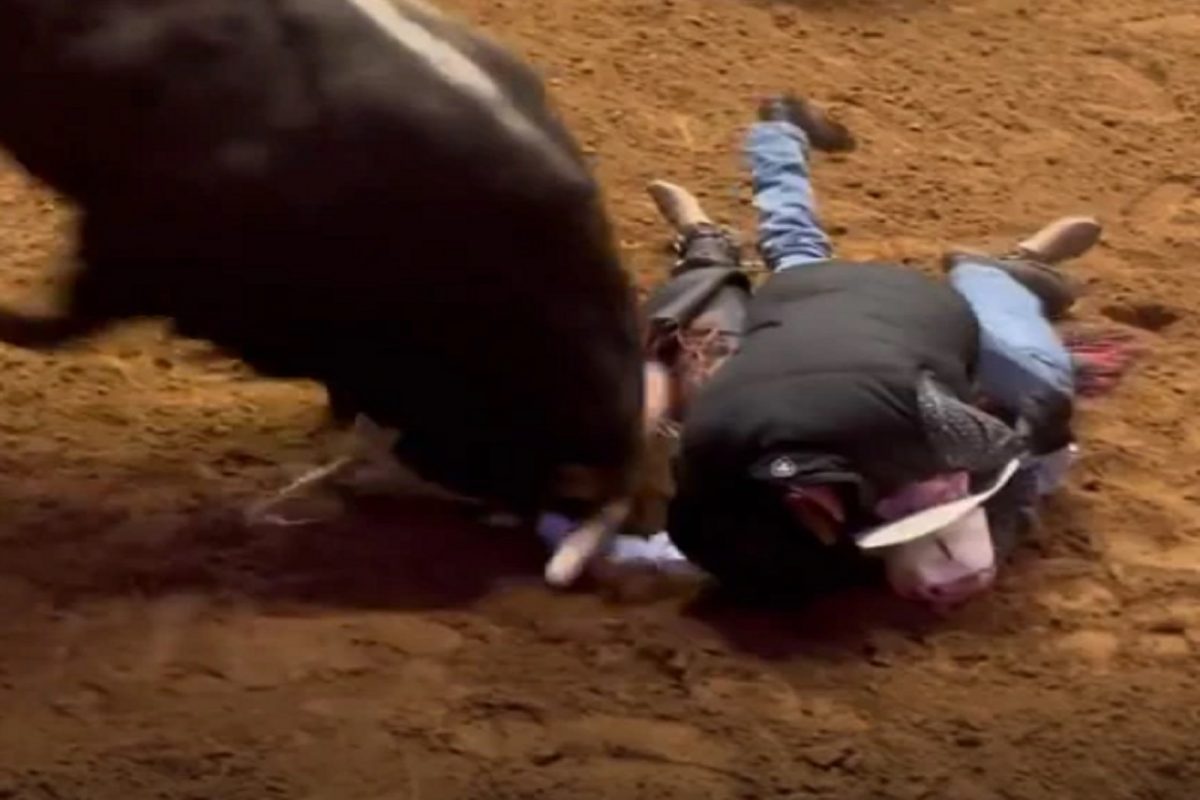 लेकाला वाचवण्यासाठी चवताळलेल्या बैलासमोर आला बाबा आणि...; पुढे जे घडलं ते पाहून धडकी भरेल