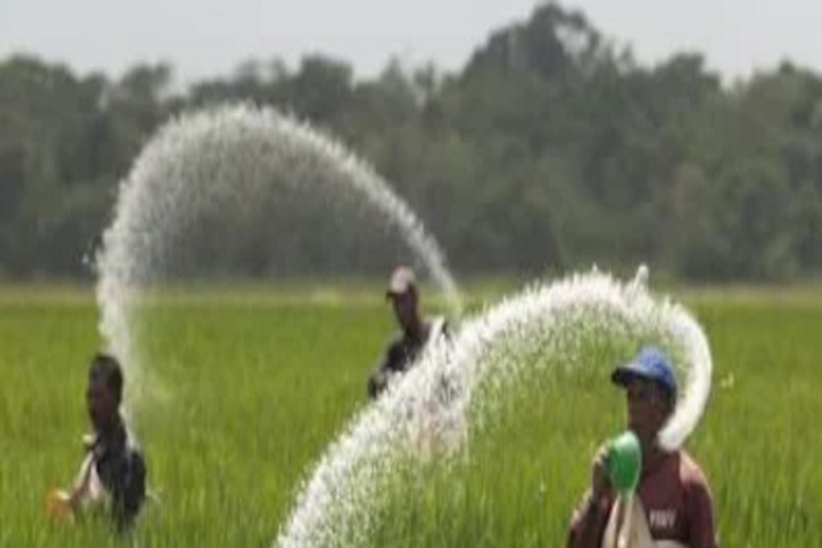 रशिया-युक्रेन युद्धामुळे भारतात खतांच्या किंमती वाढणार? पाहा काय आहे कारण