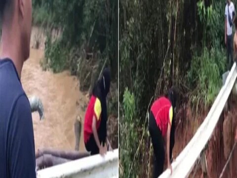 पुरामुळे आपण आईला गमावलं अशी भीती तिला वाटत असतानाच अचानक आई तिला दिसली आणि त्यानंतर तिला भेटण्यासाठी तिने आपल्या जीवाचीही पर्वा केली नाही.