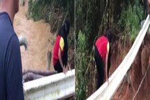 पुरामुळे झाली ताटातूट! आईसाठी कासावीस झालेल्या लेकीने ओलांडला 'मृत्यूचा पूल' पुरामुळे झाली ताटातूट! आईसाठी कासावीस झालेल्या लेकीने ओलांडला 'मृत्यूचा पूल'