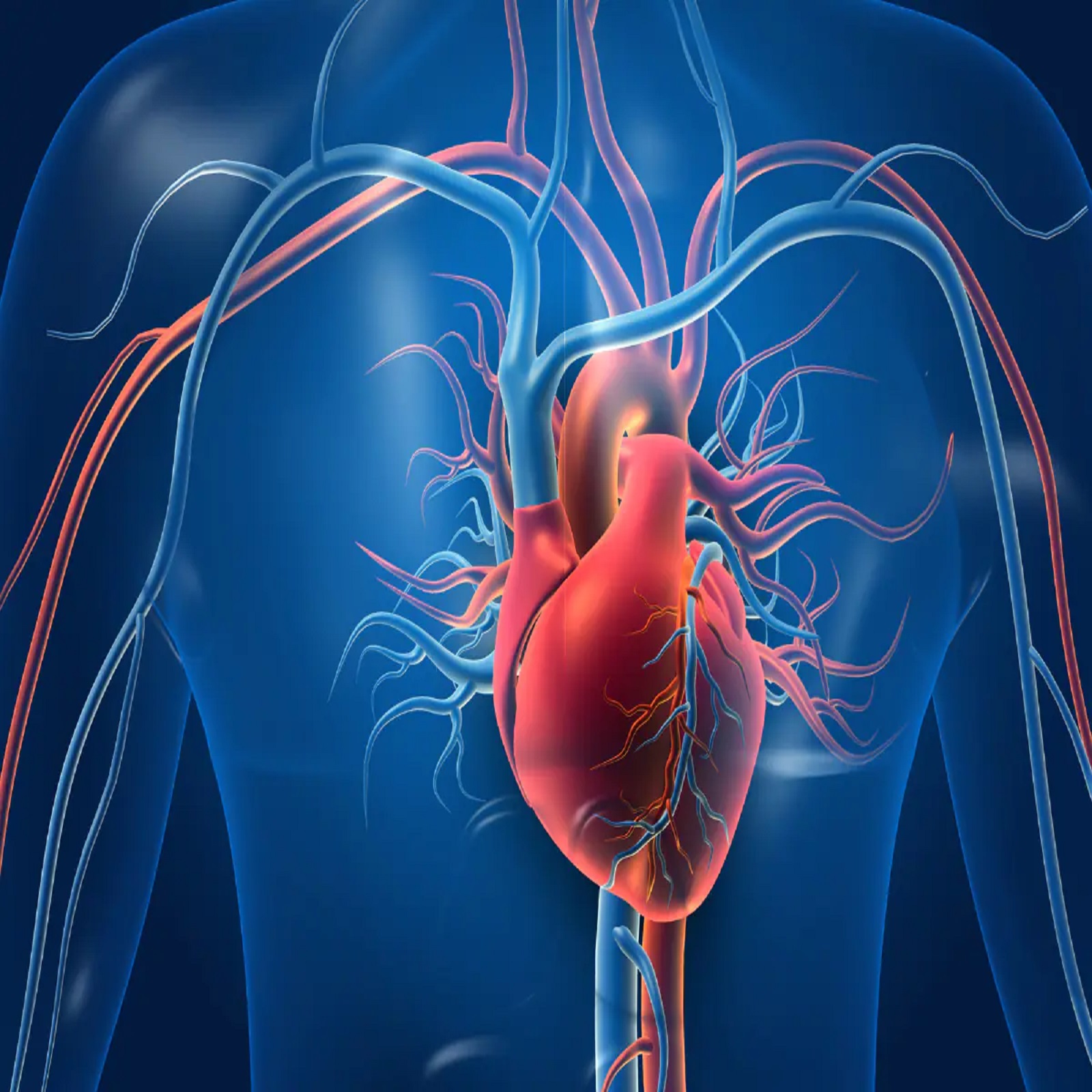 - हृदय निरोगी - MedicalNewsToday नुसार, नारळ पाणी हृदयाच्या रुग्णांसाठी खूप फायदेशीर आहे. नारळाच्या पाण्यात पोटॅशियम मुबलक प्रमाणात आढळते. यामध्ये आढळणारे पोटॅशियम उच्च रक्तदाब आणि हृदयरोगींसाठी खूप फायदेशीर आहे.