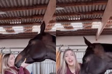 VIDEO: पाळीव घोड्याचे लाड करत होती, पण अचानक त्याने केलं असं काही की शरमली तरूणी