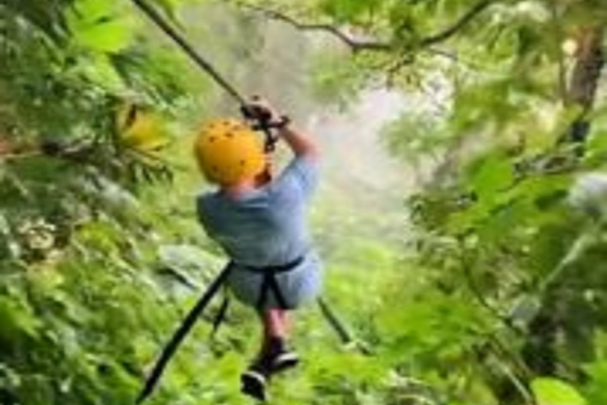 जंगलात मजेत zip-lining करत होता चिमुकला, अचानक समोर आला भयंकर प्राणी; पुढे काय घडलं पाहा VIDEO