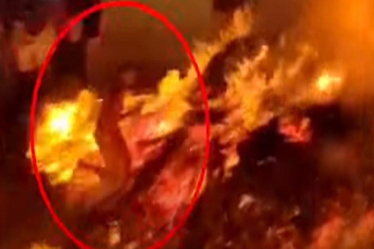 धक्कादायक! पेटत्या होळीत व्यक्तीने मारली उडी, पुढच्याच क्षणी झाला चमत्कार; Holika dahan चा Shocking Video