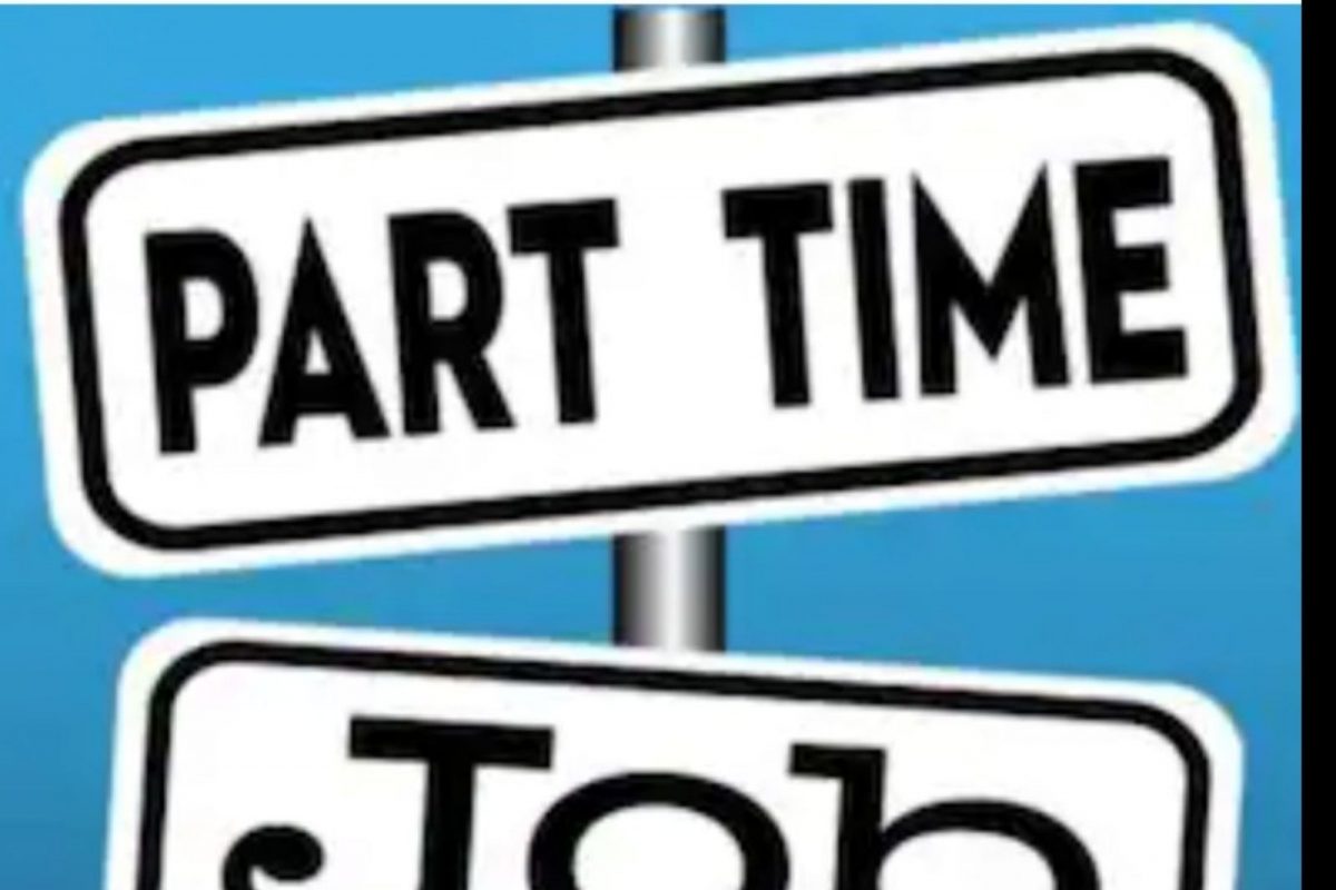 काही प्रोफेशनल सेकंड इन्कम सोर्स