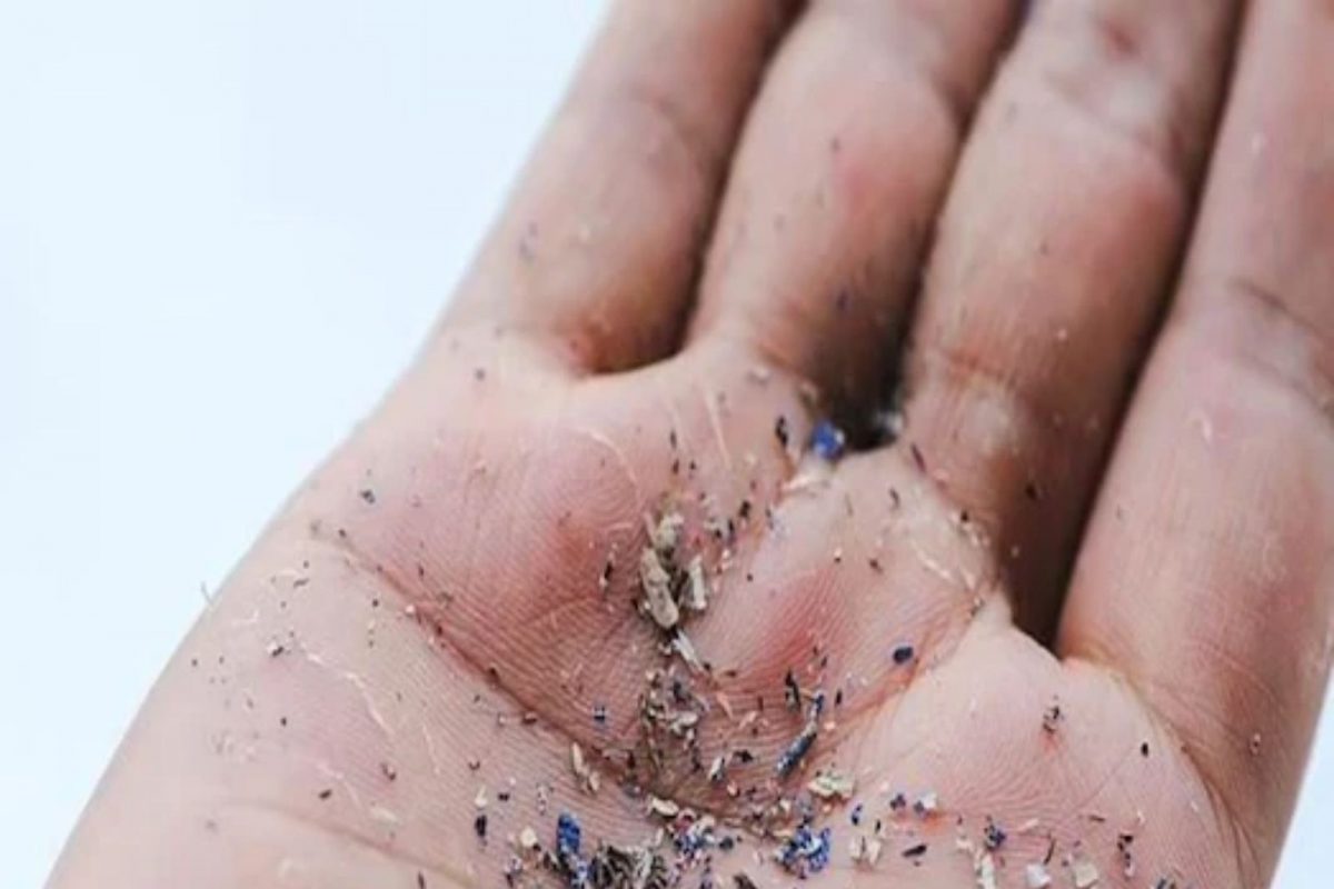 पहिल्यांदाच मानवी रक्तात आढळले प्लास्टिकचे तुकडे, संशोधकांनाही बसला धक्का