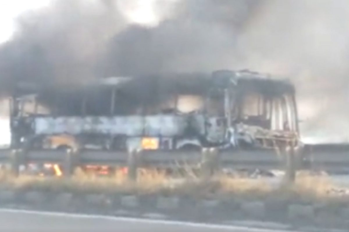 पुण्याला जाणारी चालती शिवशाही अचानक पेटली; 40 प्रवाशी, अन्...अंगावर काटा आणणारा Video!