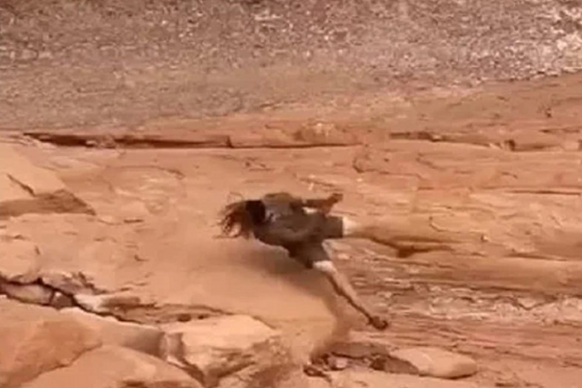 Rock climbing करताना स्टंट पडला भारी! भल्यामोठ्या दगडाला धडकला तरुण आणि...; काळजाचा ठोका चुकवणारा VIDEO