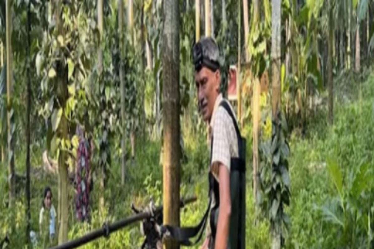 रस्त्यावर नाही थेट झाडावर चालते ही भन्नाट स्कूटर, वाचा काय आहे या Tree Scooter ची कहाणी
