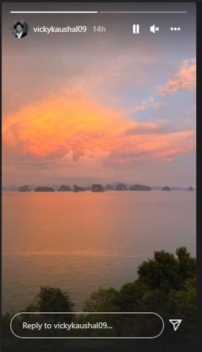 परंतु आता अभिनेत्रीने आपले फोटो शेअर करत सर्वांचं लक्ष वेधलं आहे. 