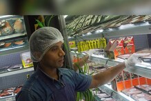 Jhatka-Halal Row: हलाल मांस बहिष्कार मोहीम तीव्र; काय आहे हलाल आणि झटकामधील फरक? Jhatka-Halal Row: हलाल मांस बहिष्कार मोहीम तीव्र; काय आहे हलाल आणि झटकामधील फरक?