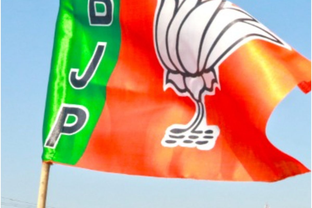 ..डोळे काढून मुंडकंच उडवतो; घरावर भाजपचा झेंडा लावल्यानं मुस्लीम तरुणाला धमकी देत मारहाण