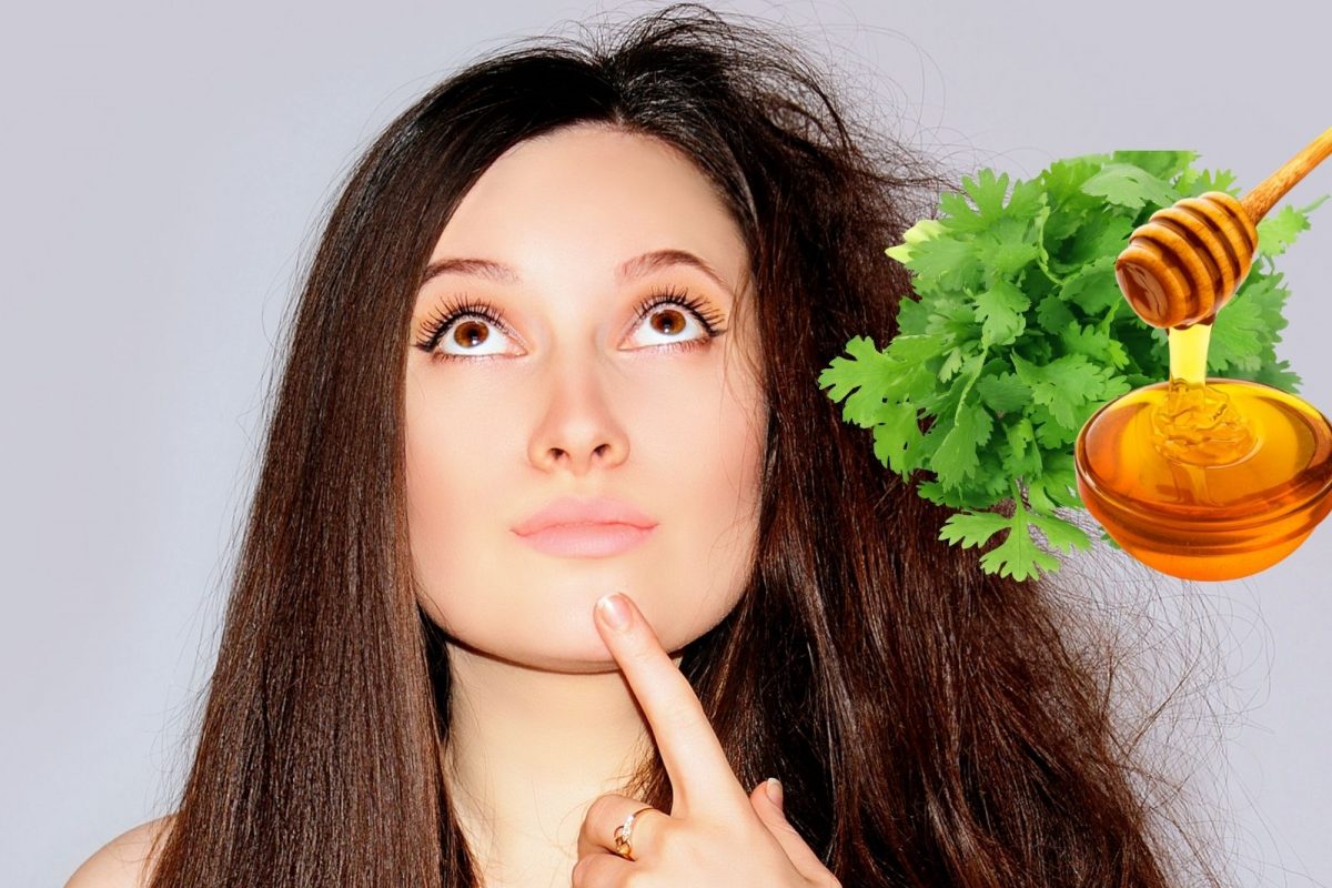 उन्हाळ्यातही केस राहतील सॉफ्ट-शायनी; घरीच असा बनवा कोथिंबीर आणि मधाचा हेअर पॅक