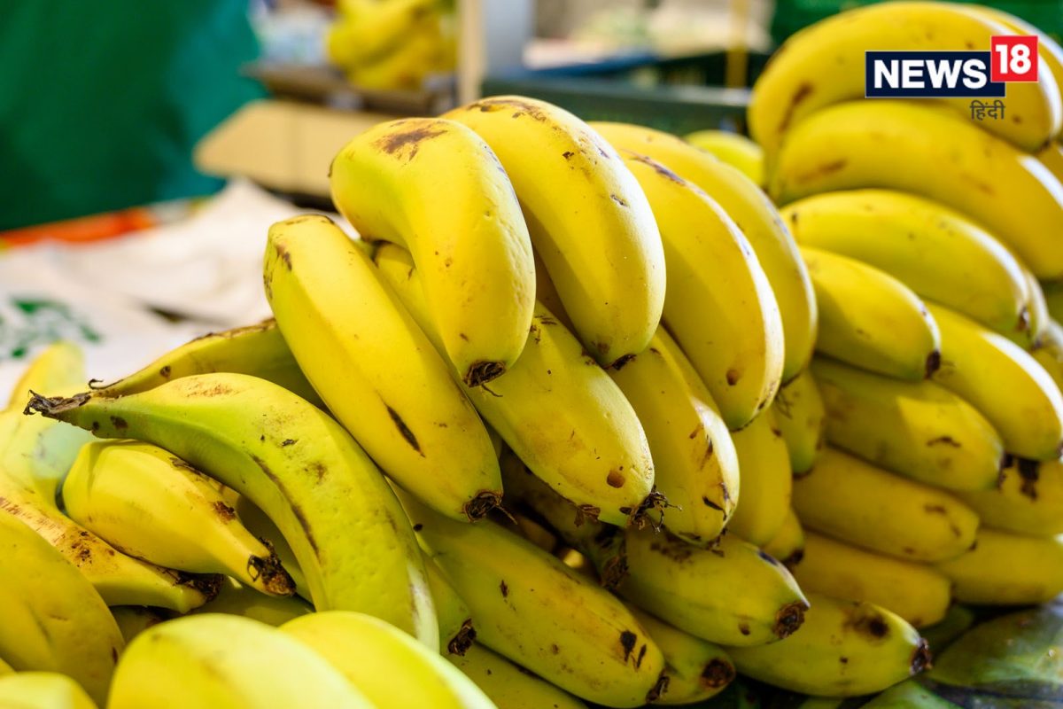 1. वजन नियंत्रित राहील -
वजन नियंत्रित ठेवण्यासाठीही केळी खूप उपयुक्त आहेत. ज्यांना शरीराच्या स्थूलपणावर नियंत्रणात ठेवायचं आहे, अशा लोकांनी या फळाचा आहारात समावेश केला पाहिजे. यासोबतच हे लक्षात घ्यावं की, हे फळ नियमितपणे खावं. तरच, आपल्याला चांगले परिणाम मिळतील.