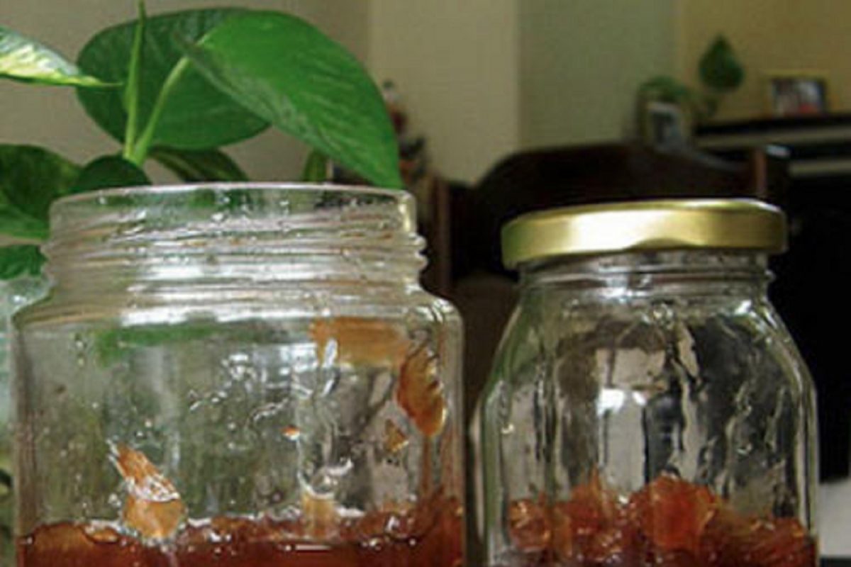 Ginger Murabba: पोटाच्या अनेक विकारांवर जालीम आहे आल्याचा मुरंब्बा! जाणून घ्या सर्व फायदे