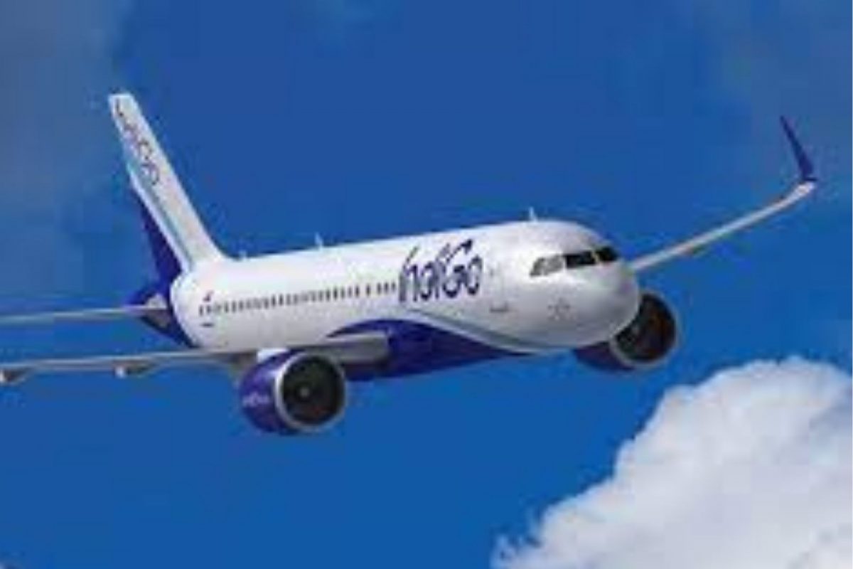 IndiGo Airlinesची भरारी! बनली जगातली सहावी सर्वांत मोठी विमान कंपनी