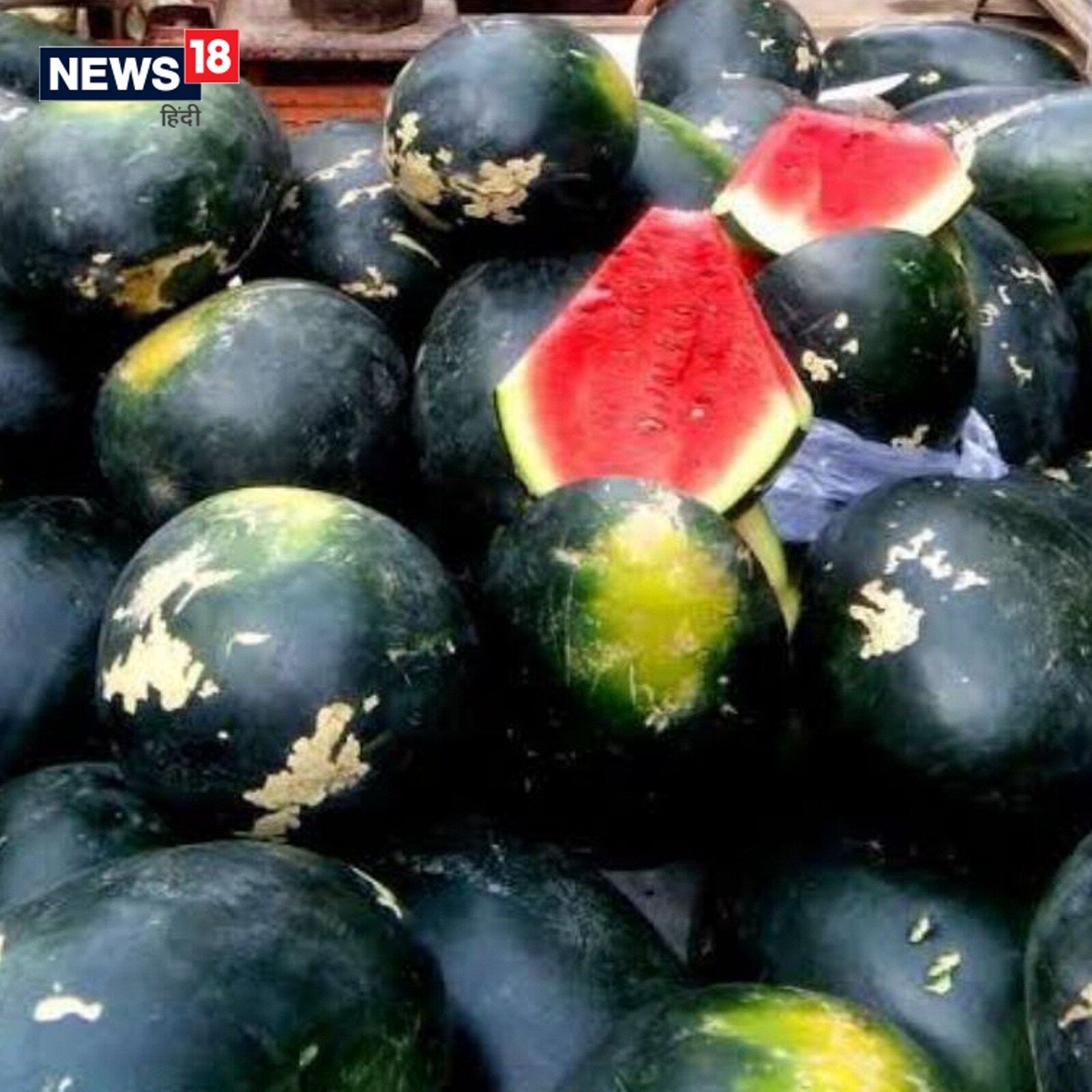 Water melon benefits and interesting facts about it in Marathi rp