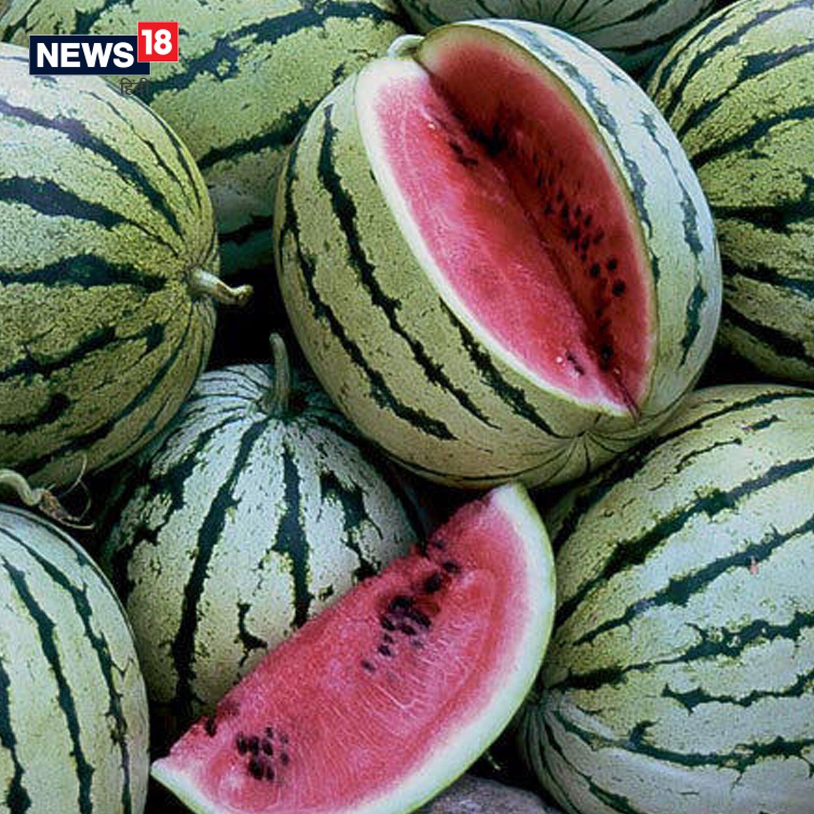 Water melon benefits and interesting facts about it in Marathi rp