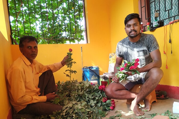आज कलावतीदेवींनी महिला समितीच्या मदतीने आणि स्वतःच्या गुंतवणुकीतून 25 डेसिमल जमिनीवर गुलाबाची लागवड केली आहे. तुम्हाला इथे सर्वत्र गुलाब पाहायला मिळतील. या बागेतून रोज गुलाब तोडून आणले जातात. नंतर व्यवस्थित पॅक करुम बाजारात पाठवत असल्याचे राहुलने सांगितले. सध्या जेवढी मागणी आहे तेवढा पुरवठा करणे कठीण असल्याचंही त्याने सांगितले.